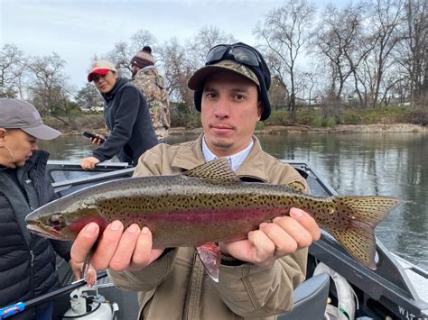 sacramento river fishing reports|Sacramento River .